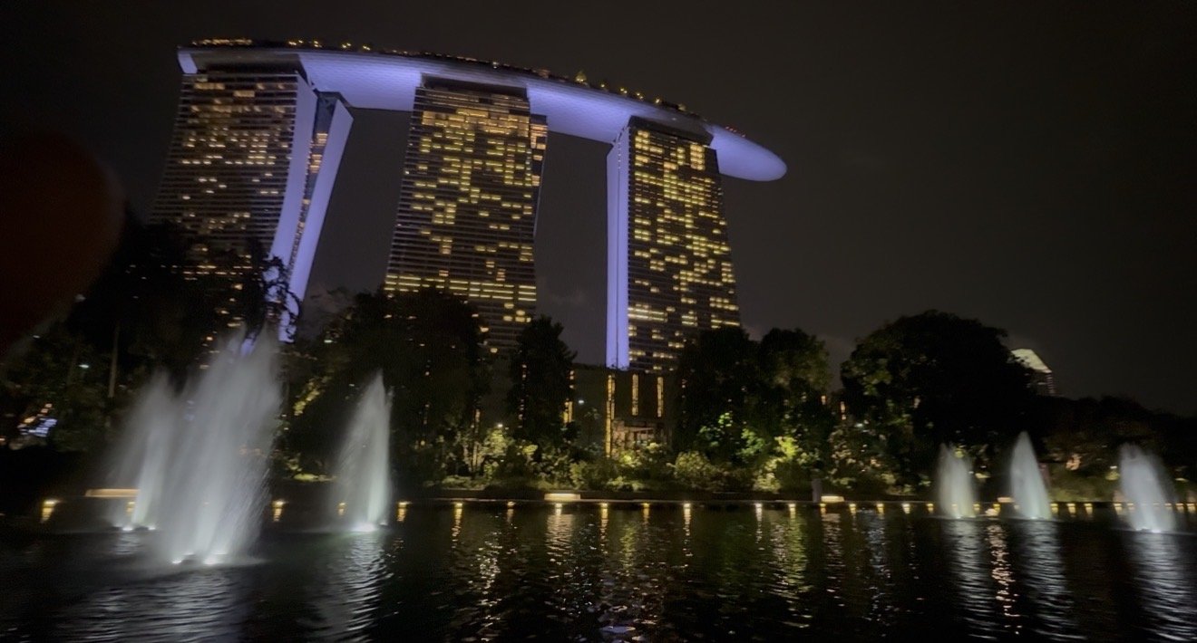 Marina Bay Sands Singapore at night — Gardens by the Bay